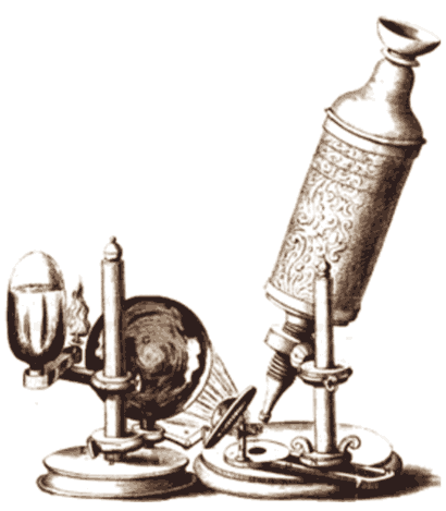 Το μικροσκόπιο του Robert Hooke