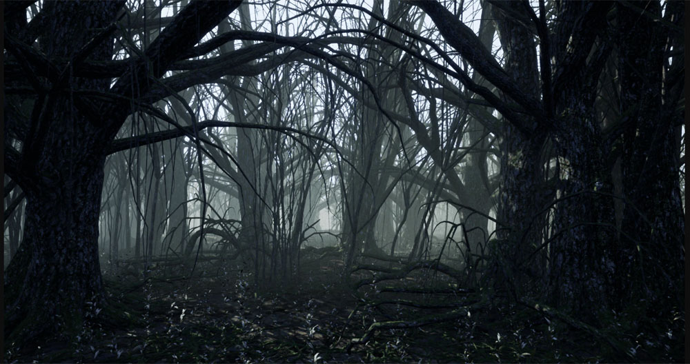 η θεωρία του σκοτεινού δάσους